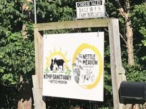 Nettle Meadow Kemp Sanctuary